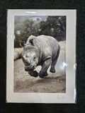 Safari West Animal Greeting Cards