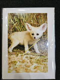 Safari West Animal Greeting Cards