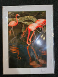 Safari West Animal Greeting Cards