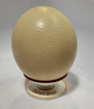 Ostrich Eggshell