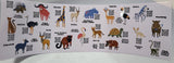 Safari West Animal Quest Water Bottle