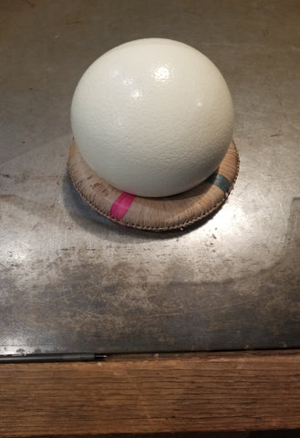 Ostrich Eggshell